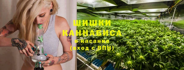 бошки Алексин