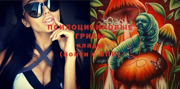 бошки Алексин