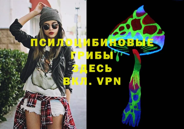 первитин Алексеевка